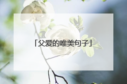 父爱的唯美句子