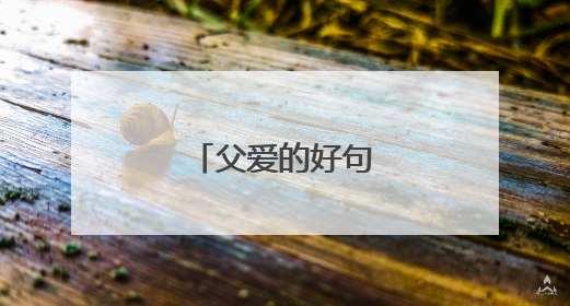 父爱的好句好段摘抄