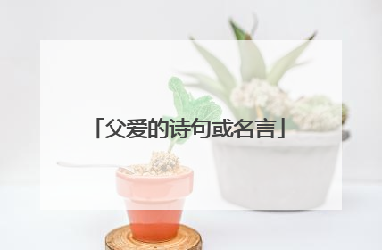 父爱的诗句或名言