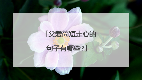 父爱简短走心的句子有哪些?