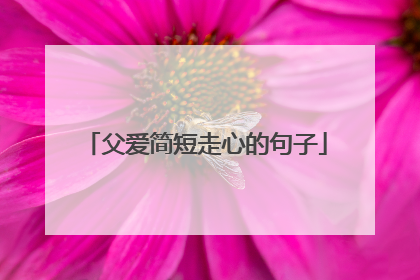 父爱简短走心的句子
