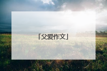 父爱作文