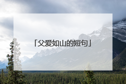 父爱如山的短句