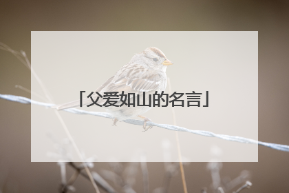 父爱如山的名言