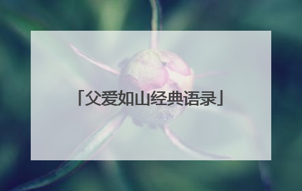 父爱如山经典语录