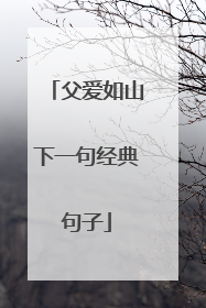 父爱如山下一句经典句子