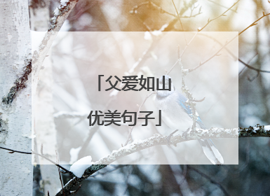 父爱如山优美句子