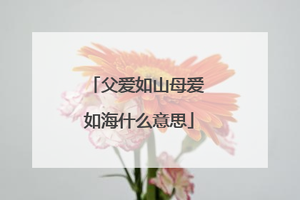 父爱如山母爱如海什么意思