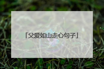 父爱如山走心句子