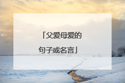 父爱母爱的句子或名言