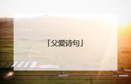 父爱诗句