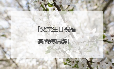 父亲生日祝福语简短精辟