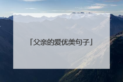 父亲的爱优美句子