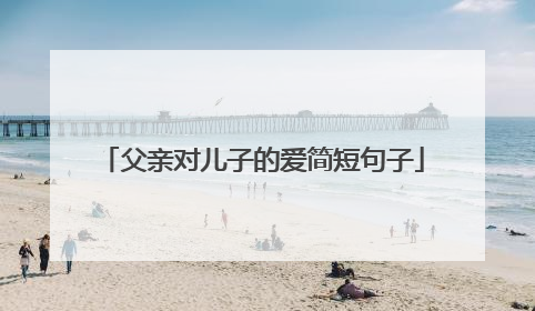 父亲对儿子的爱简短句子