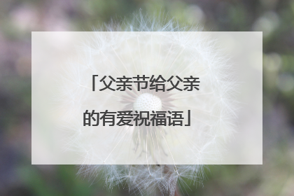 父亲节给父亲的有爱祝福语