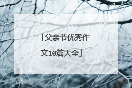父亲节优秀作文10篇大全
