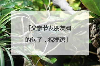 父亲节发朋友圈的句子，祝福语