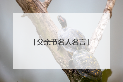 父亲节名人名言