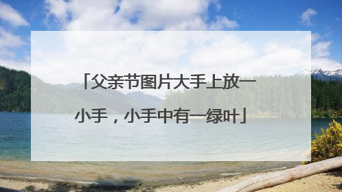 父亲节图片大手上放一小手,小手中有一绿叶
