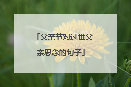 父亲节对过世父亲思念的句子