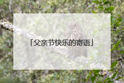 父亲节快乐的寄语