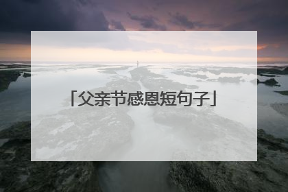 父亲节感恩短句子