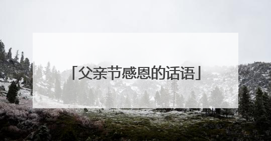 父亲节感恩的话语