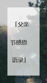 父亲节感恩语录