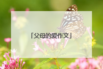 父母的爱作文
