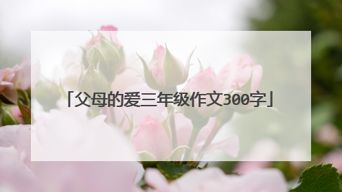 父母的爱三年级作文300字