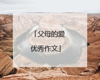 父母的爱优秀作文