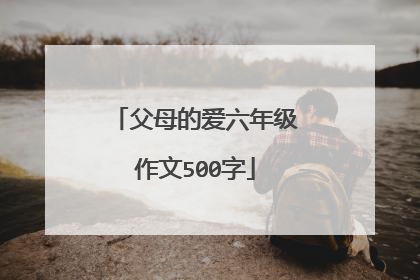 父母的爱六年级作文500字