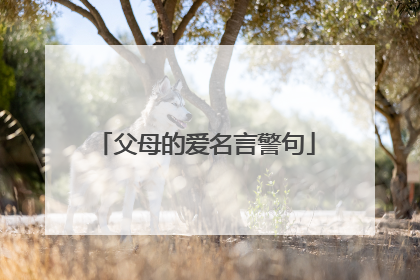 父母的爱名言警句