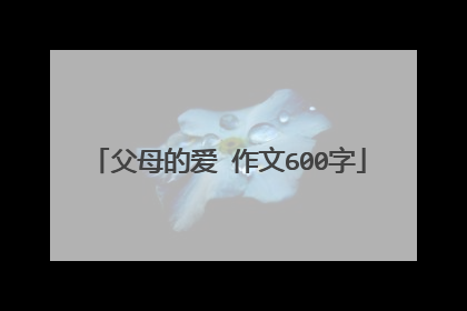 父母的爱 作文600字