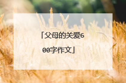 父母的关爱600字作文