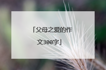 父母之爱的作文300字