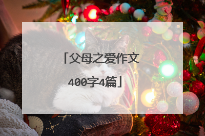 父母之爱作文400字4篇