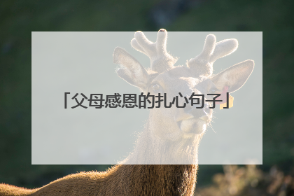 父母感恩的扎心句子
