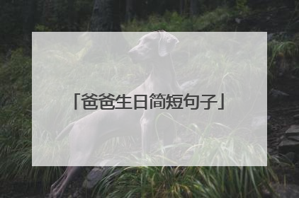 爸爸生日简短句子