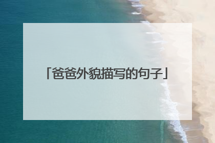 爸爸外貌描写的句子