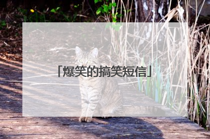 爆笑的搞笑短信