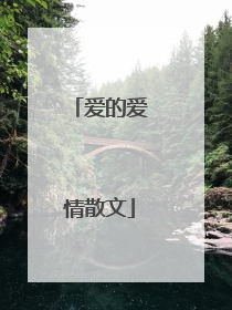 爱的爱情散文