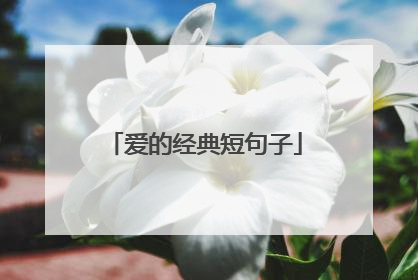 爱的经典短句子