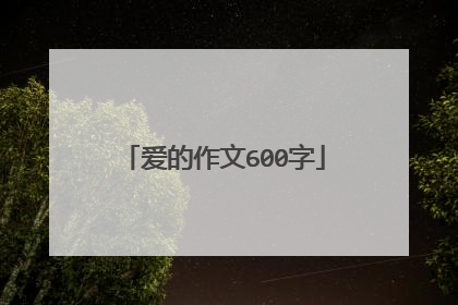 爱的作文600字
