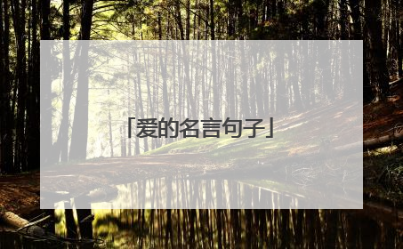 爱的名言句子