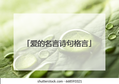 爱的名言诗句格言