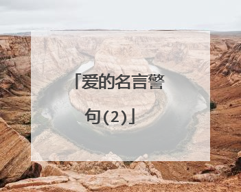 爱的名言警句(2)