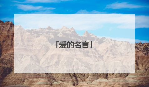 爱的名言