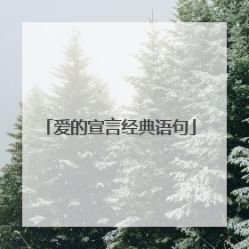 爱的宣言经典语句