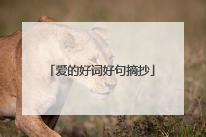爱的好词好句摘抄